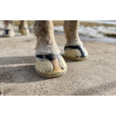 REA! Limskor Easyshoe Versa Grip Glue (parvis)