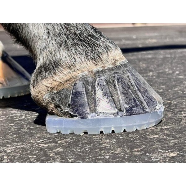 Easyshoe Versa Grip OCTO (parvis)