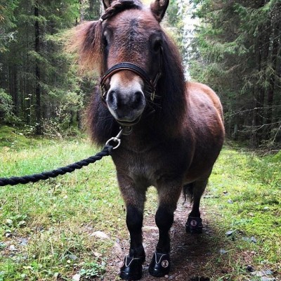 Prova Active Jogging boots hemma – hitta rätt storlek innan du köper