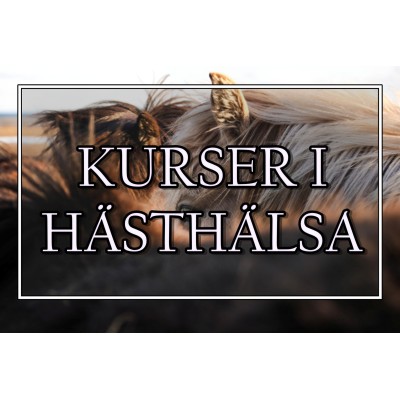 Kurser i hästhälsa - Eqvital