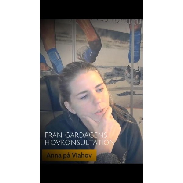 Rådgivning med Anna på Viahov
