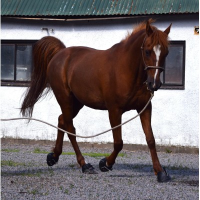 BOOTS WORKSHOP KRAMFORS 27-28 JUNI