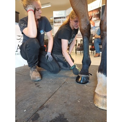 BOOTS WORKSHOP KRAMFORS 27-28 JUNI