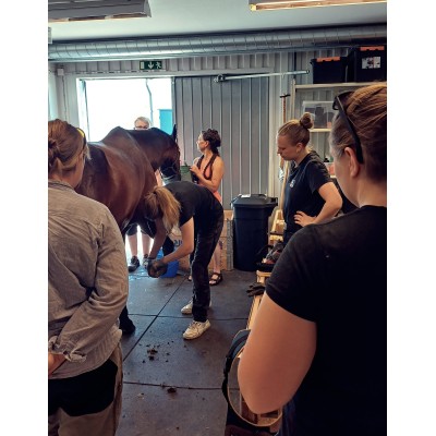 BOOTS WORKSHOP KRAMFORS 27-28 JUNI