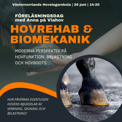 Föreläsningsdag om hovens biomekanik och modern hovrehab | 26 Juni NORDVIK