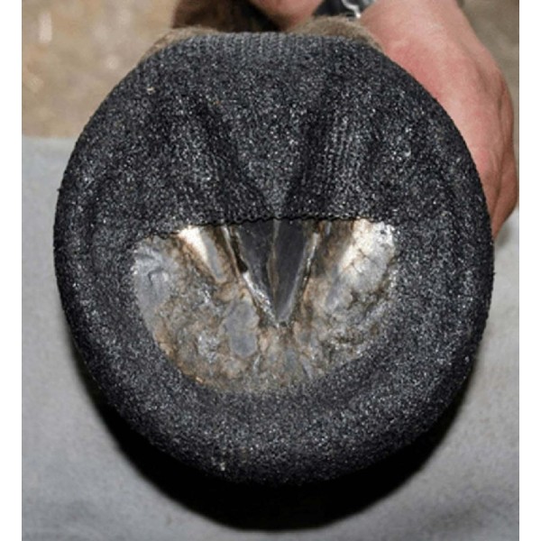 Perfect Hoof Wear - WRAPS